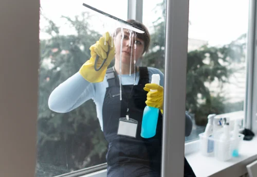 Nettoyage de vitres intérieures et extérieures à Méziré